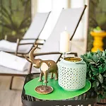 Life 4 Superior 4* Бибионе